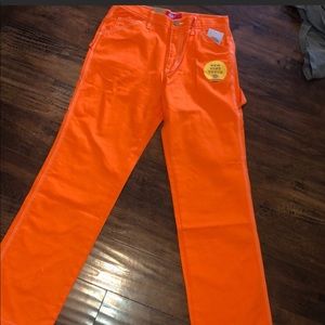 Dickies Carpenter Pants